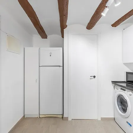 Apartment Old Town - Reformed Penthouse With Ac And Wifi Alcoy