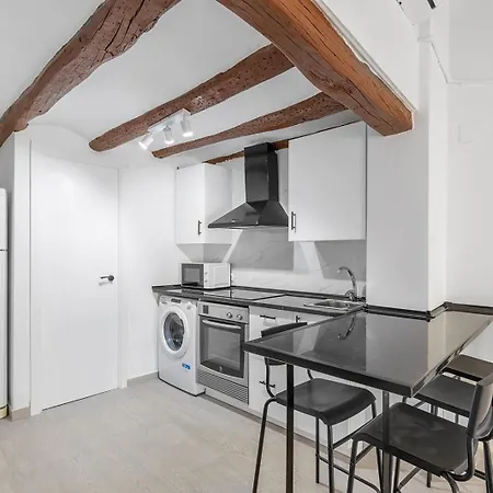 Old Town - Reformed Penthouse With Ac And Wifi Apartment *